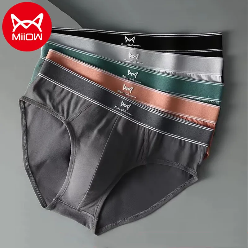 Underpants MiiOW 3pcs Organic Cotton Men's Sexy Briefs AAA Antibacterial Man Underwear Boxer Shorts Winter Male Panties 230826