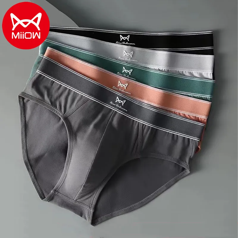 Cuecas Miiow 3 pcs algodão orgânico homens sexy briefs aaa homem antibacteriano roupa interior boxer shorts inverno calcinha masculina 230826