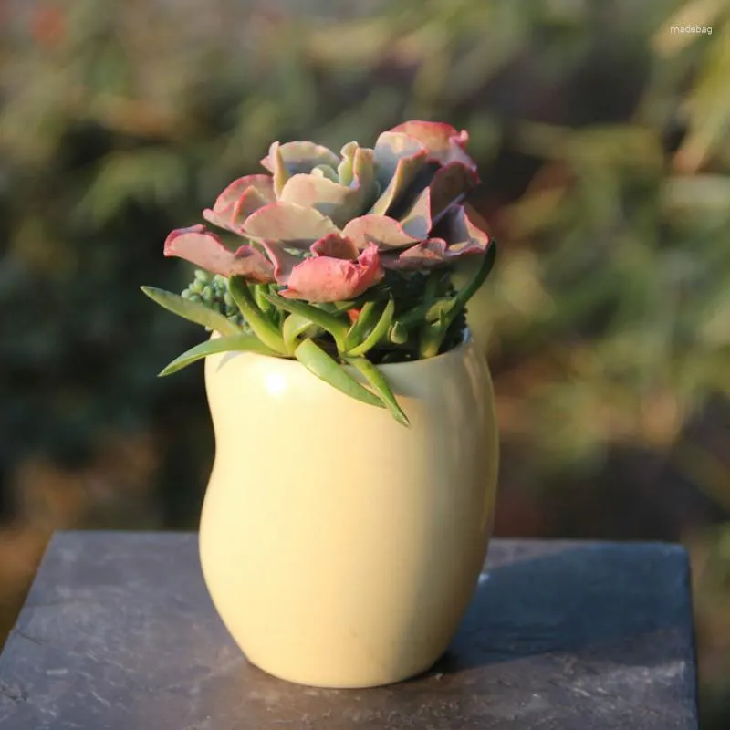 Vasi per piante grasse Vaso in ceramica piccolo giallo a forma di fagiolo rotondo creativo mini fiore carino fioriera succulenta decorazione della casa