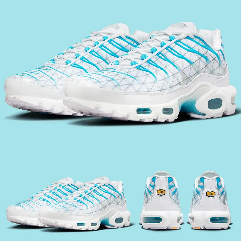 Tn blu cheap