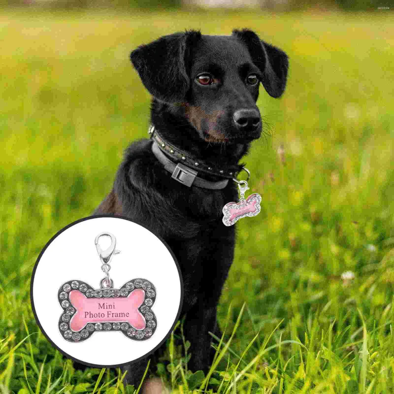 Dog Collars Pet Listing Information Decorative Tag Collar Charms Stainless Steel Tags Name