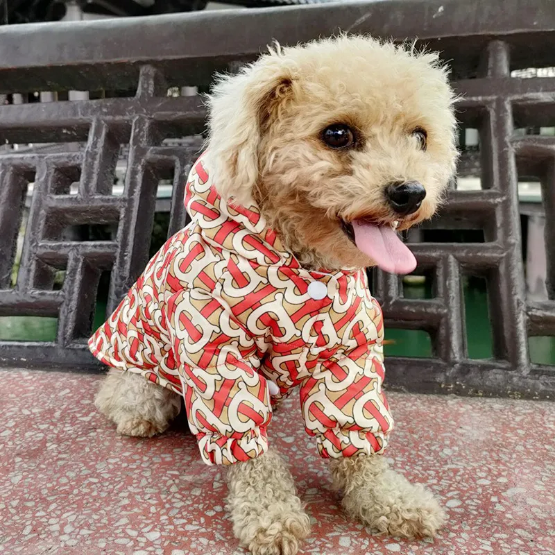 Jaqueta com capuz para cachorro de estimação Schnauzer Teddy Pitbull Boomerang Poppy Doggy Fall Casaco quente à prova de vento