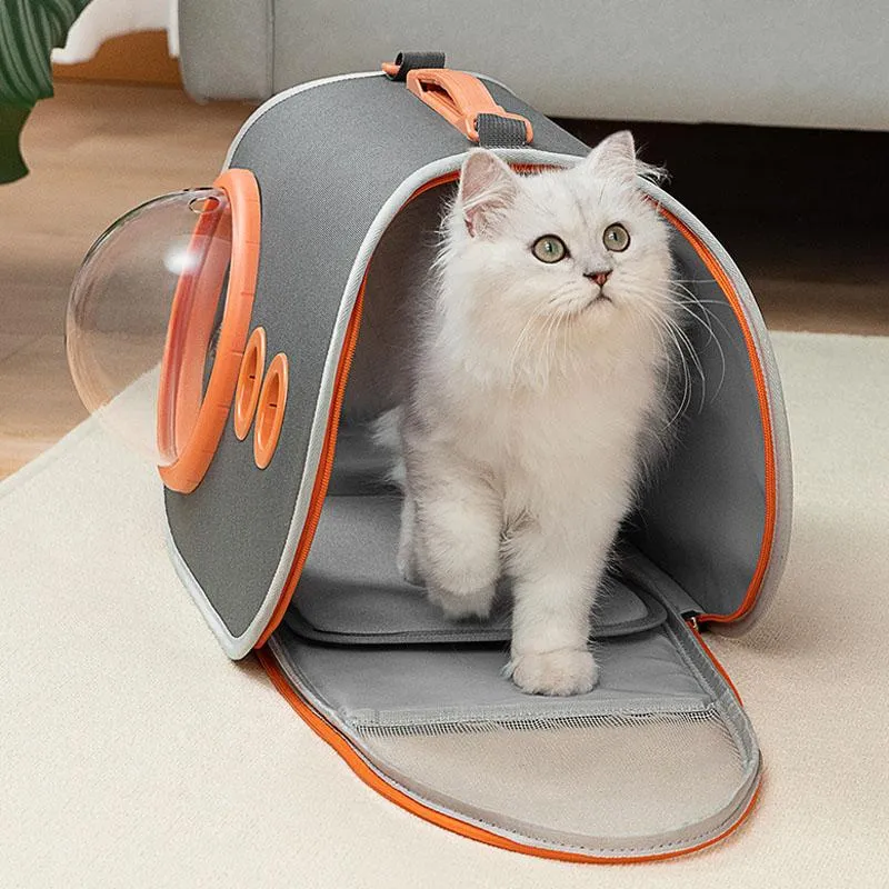 Appareils électroménagers sacs de Transport pour chats transporteurs pour animaux de compagnie respirant petit chien sac à dos voyage espace Capsule Cage Transport Transport pour chats