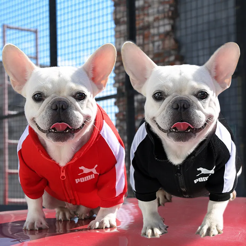 Adidas sweatshirt for dogs deals