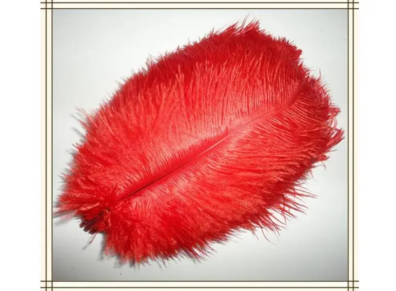 Jeffergarden Plumes Artisanales Blanches, Plumes en Vrac pour L