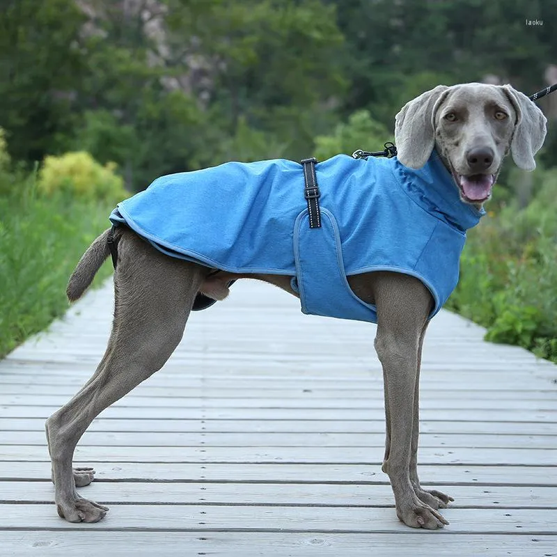 Vestuário para cães Jaqueta ao ar livre outono e inverno grosso forro de algodão destacável terno de esqui à prova de vento quente