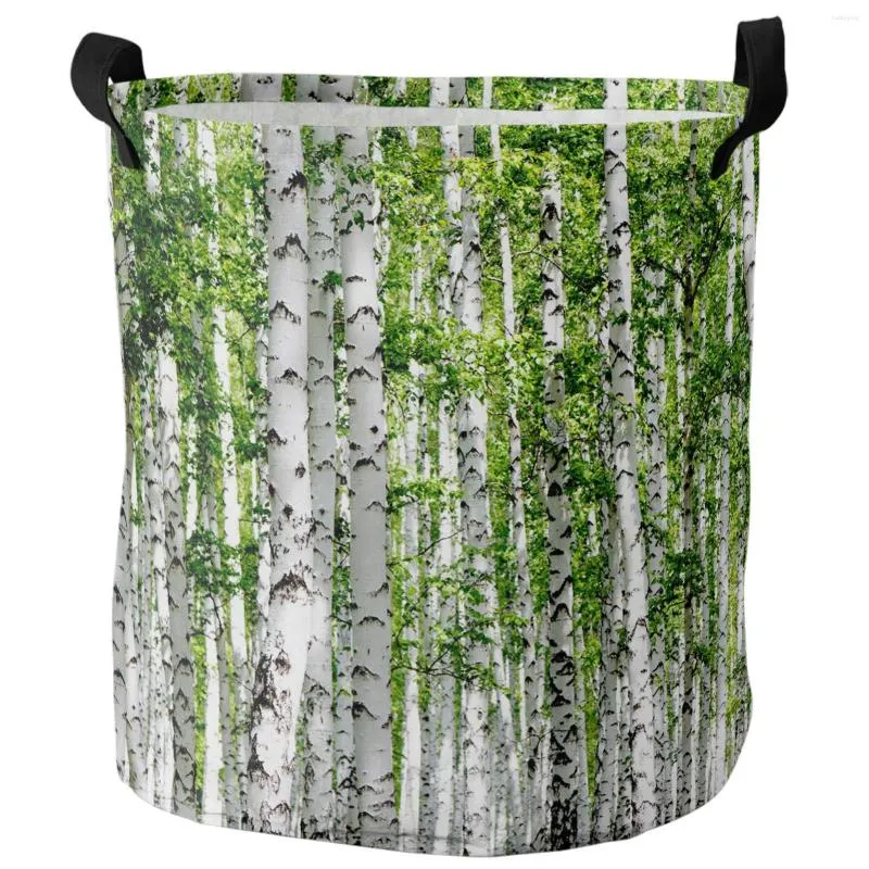 Laundry Bags Plant Birch Tree Green Forest Dirty Basket Foldable Waterproof Home Organizer Clothing Kids Toy Storage