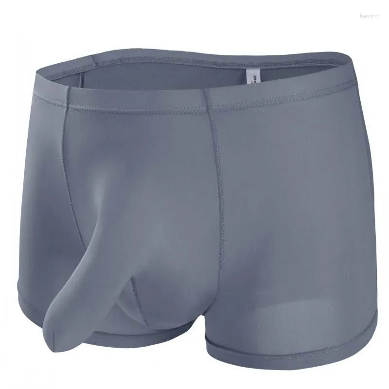Men Underwear Penis Pouch Elephant Trunk Breathable Boxer Briefs Lingerie