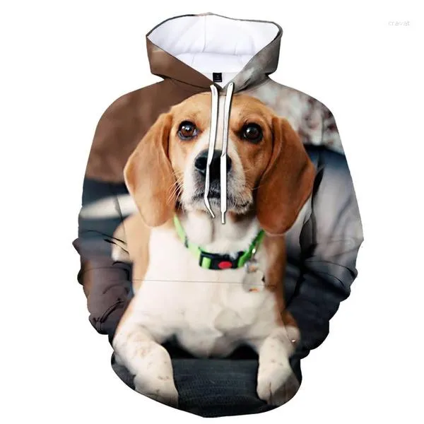 Męskie bluzy moda dla zwierząt pies beagle zabawna bluza mężczyźni i kobiety w 3D Druk swobodny długi rękaw