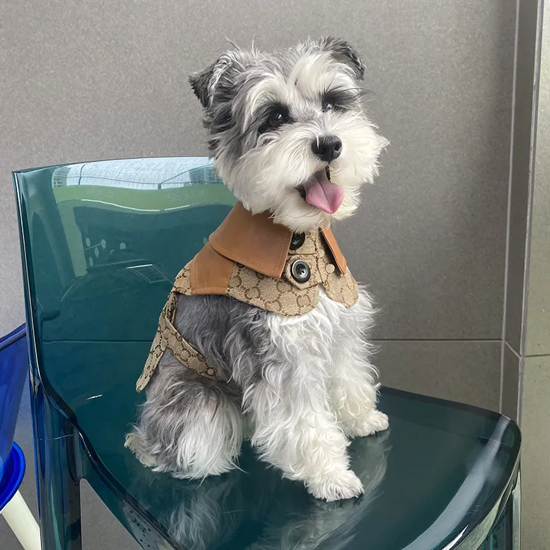 Pet Dog Cape Vest Fashion Schnauzer pudle mitdy szczeniaki skórzany płaszcz elegancki pens