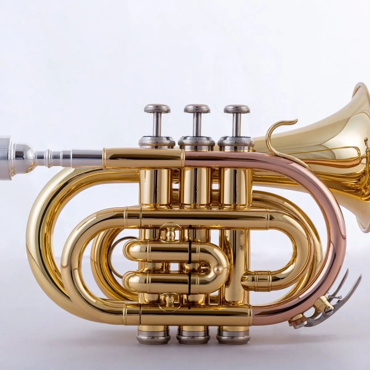 Tromba professionale in bronzo fosforoso placcato oro tromba tascabile in Si bemolle di livello professionale per strumento jazz con numero di palma