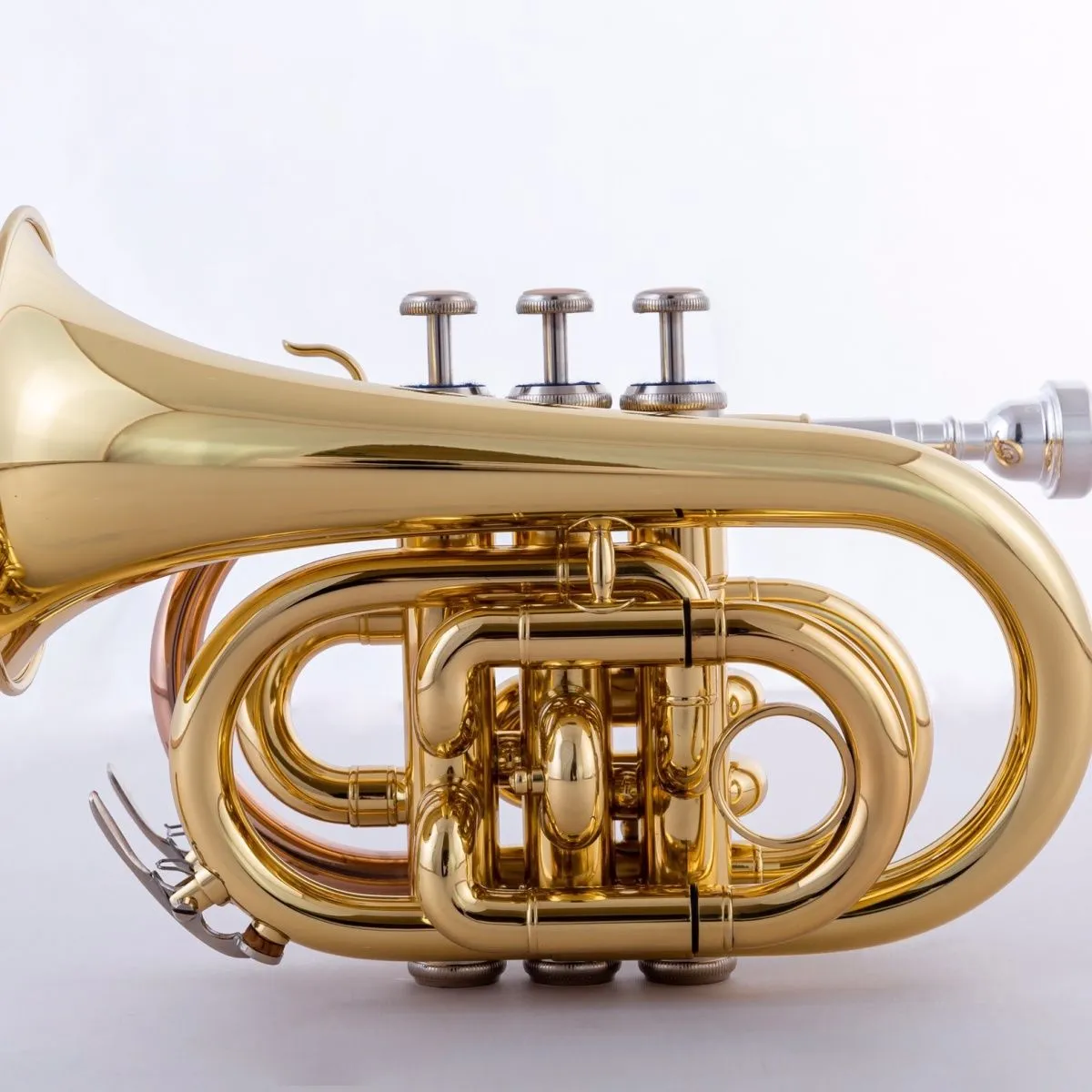 Tromba professionale in bronzo fosforoso placcato oro tromba tascabile in Si bemolle di livello professionale strumento jazz con numero di palma