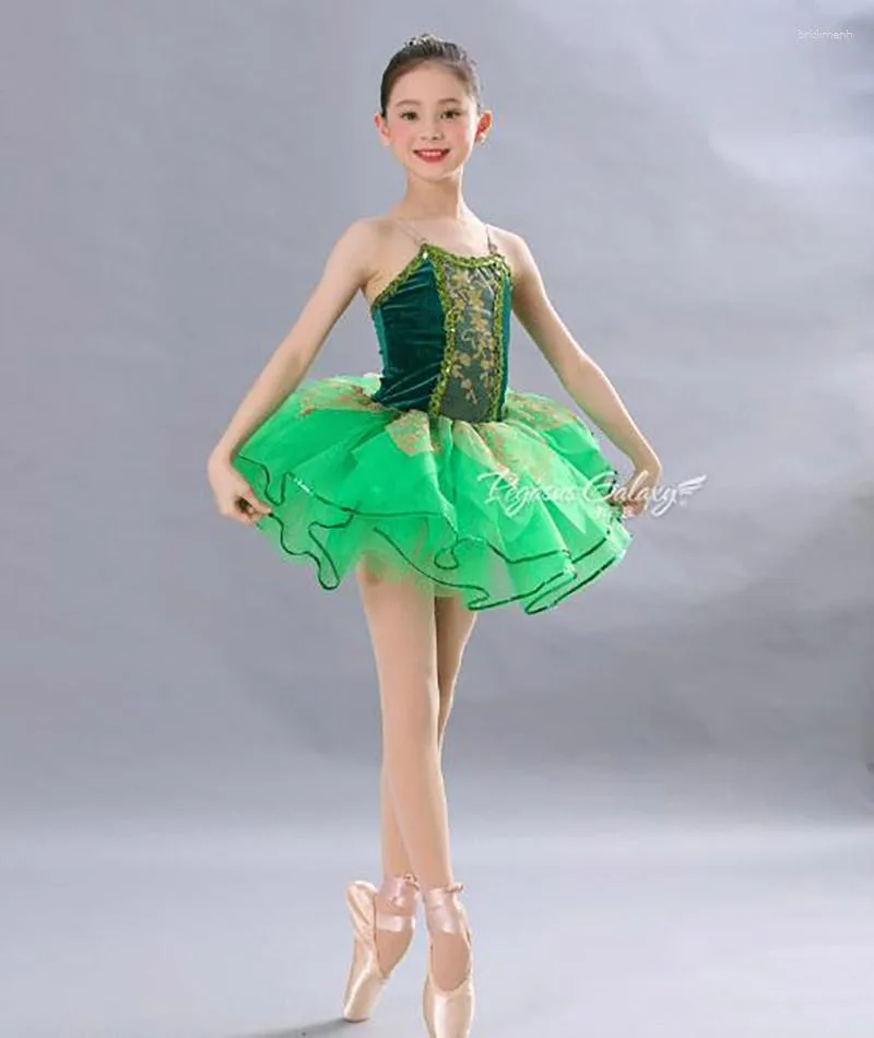 Diseños exclusivos de alta calidad profesional de la mujer en blanco  clásico de rendimiento de Ballet Tutu - China El vestido y Tutu precio