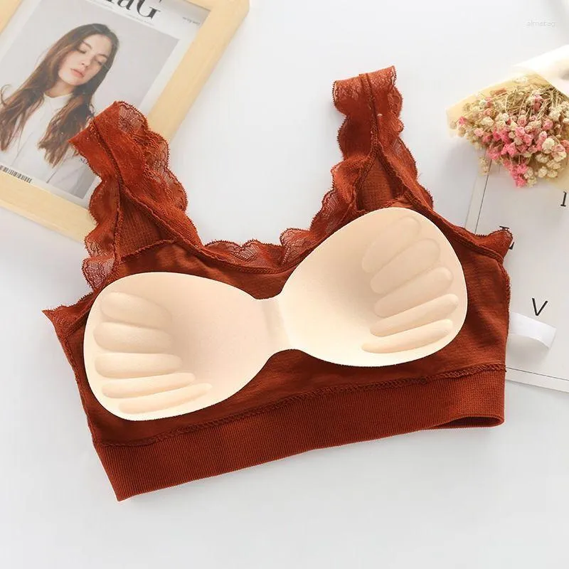 Ladies' Basic Bra In Lace, Without Underwire, Without Cup Pad