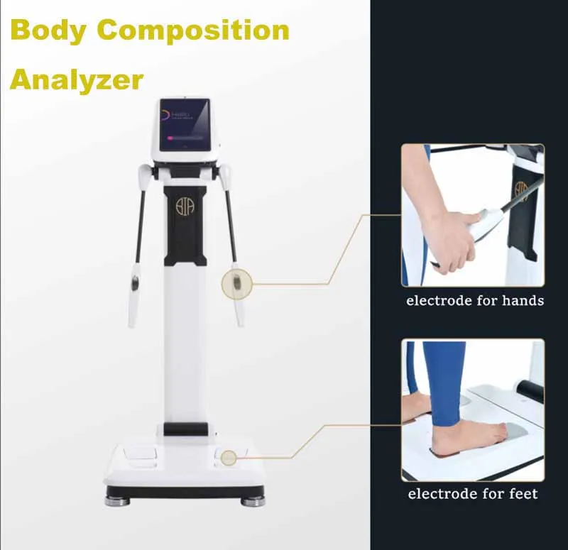 Analisador profissional da composição do corpo da escala do varredor do corpo do ultrassom 3d do varredor da medida do corpo para a aptidão do ginásio