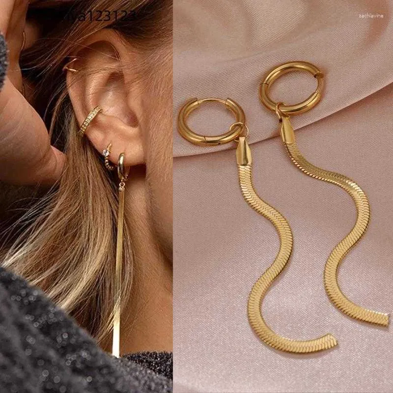 Dangle Oorbellen Gouden Kwastje Roestvrij Staal Hangend Metaal Met Hoepels Lange Slangenkettingen Vrouw Modeontwerper Sieraden