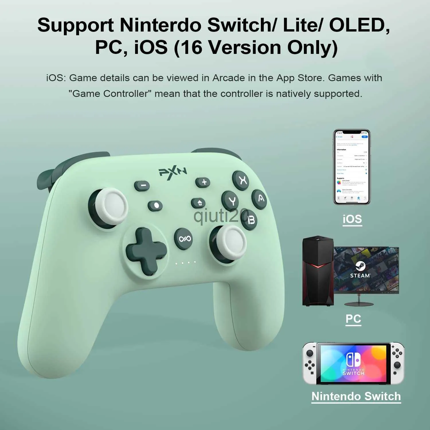 Nintendo pro 2024 controller ios