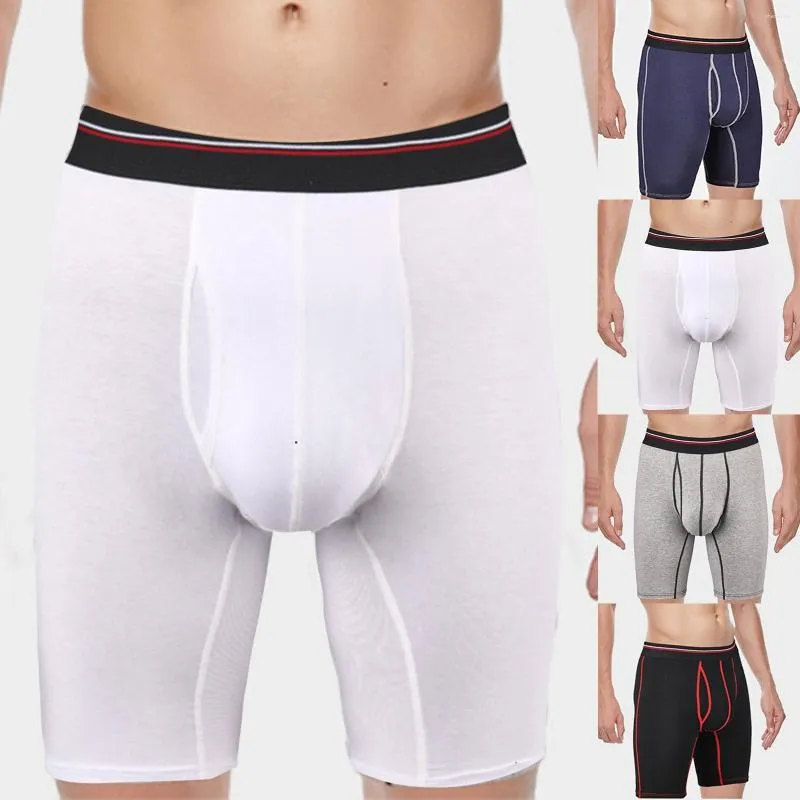 Sous-vêtements pour hommes, boxeurs, vêtements de sport massifs, pantalons en coton