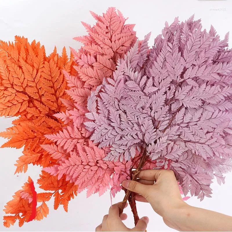 Decorative Flowers Natural Preserved Flower Fern Leaves Floral Dried For Wedding Decoration Material Pography Prop Home Indoor Decor