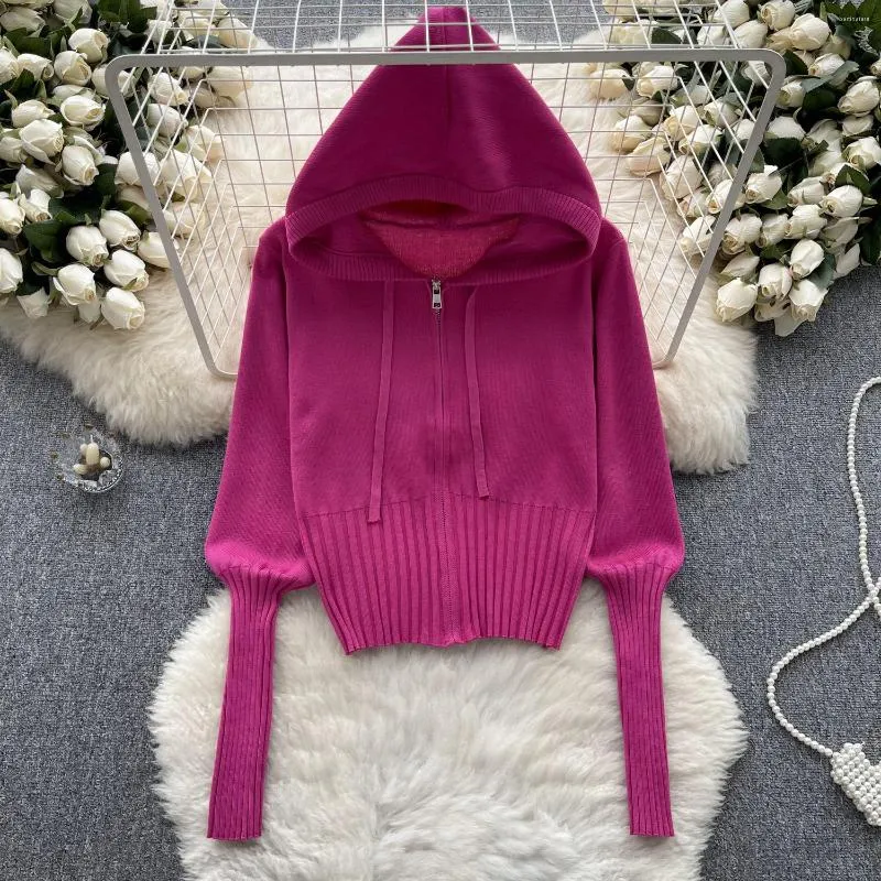 Women's Knits ALPHALMODA 2023 Solid Color Knitted Hooded Shirt Women Casual Zipper Winter Long Sleeve Cardigans Above Navel Top