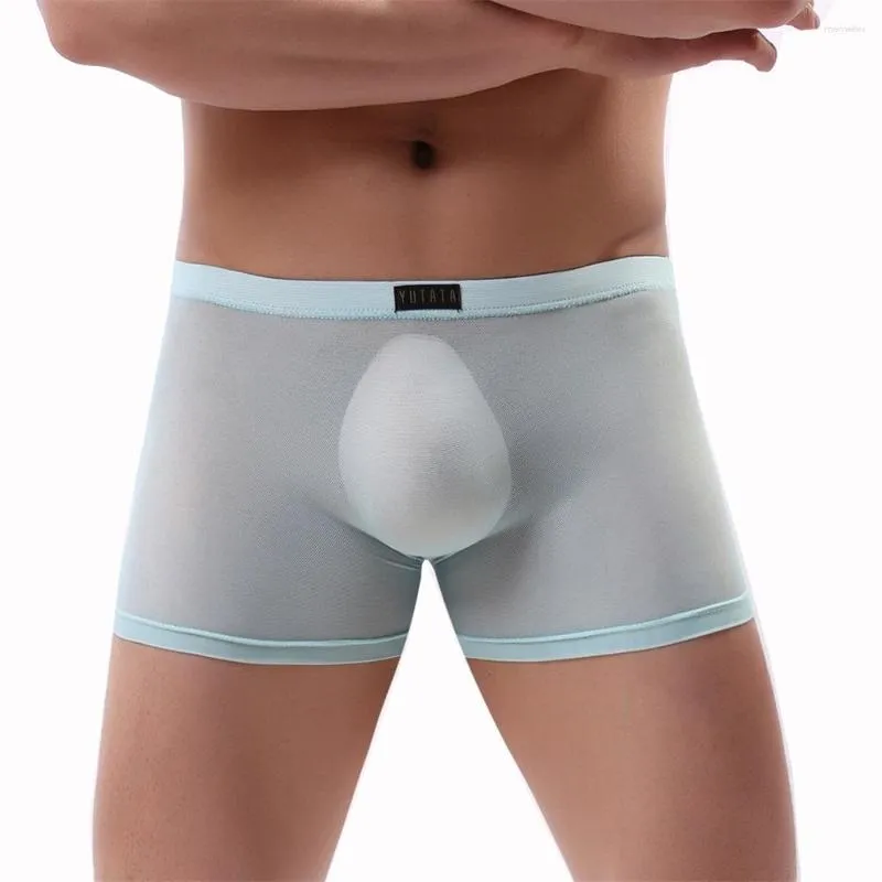 Calzoncillos sin costuras para hombre, ropa interior, Boxer Sexy de gasa transparente, Boxershorts para hombre, bolsa en U, transpirable, de tiro bajo