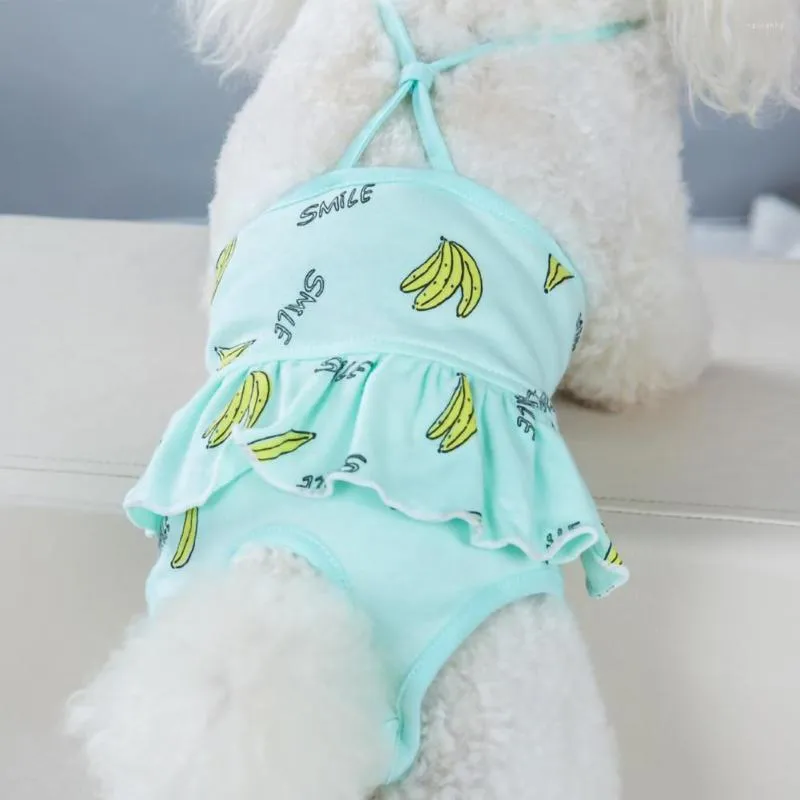 Ropa para perros, pantalones fisiológicos antiacoso para mascotas, elásticos, cómodos, para verano, pijama, traje sanitario