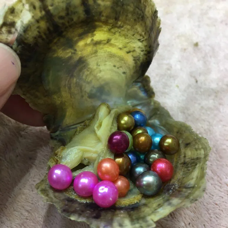 Ketens DHL 50 stcs 6-7 mm mix 27 kleuren ronde enkele parel oesters in vacuümpakken feest verrassing cadeau fp249