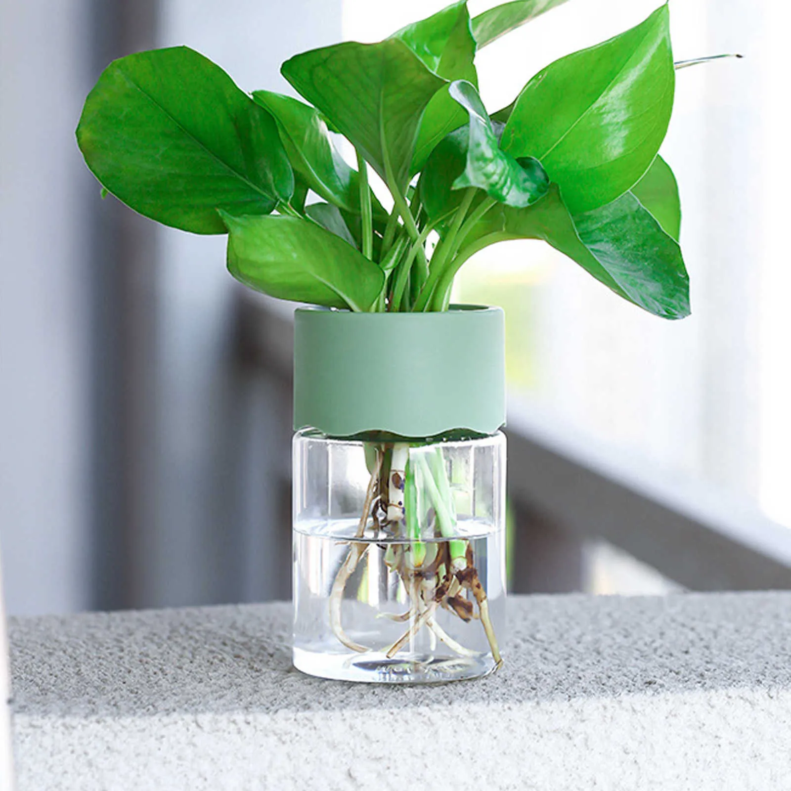 Transparent Round Hydroponic Water Pot For Plants For Water Planting, Bonsai,  And Home Decoration Plastic Tabletop Container For Plants And Living Room  J230302 From Us_oregon, $1.01