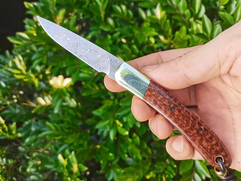 H2375 av högsta kvalitet H2375 Folding Blade Knife 67 Lager VG10 Damascus Steel Blade Snakewood Wtih Brass Handle Outdoor Camping Handing EDC Pocket Folder Knives