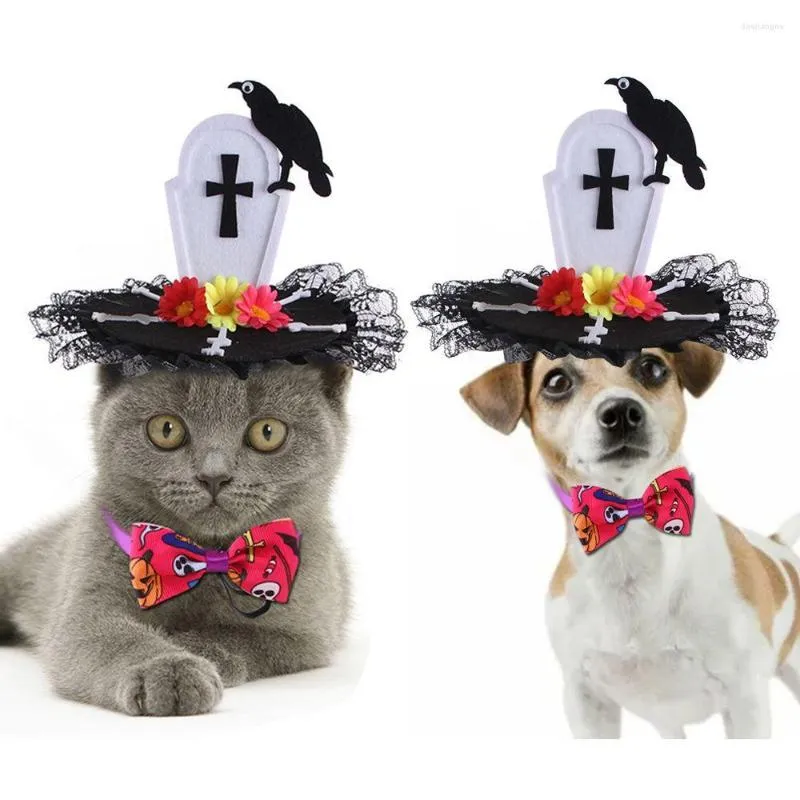 Kattdräkter katter/hundar roliga cosplay tecknad färgglada fluepens husdjur omvandling kostym crow demon