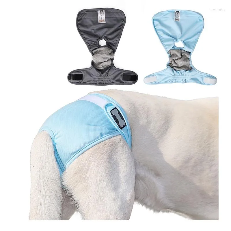 Pieluszka z odzieżą dla psiego dla małych dużych sanitarnych spodni fizjologicznych pieluszki kota Miejsca pieluszka bielizna