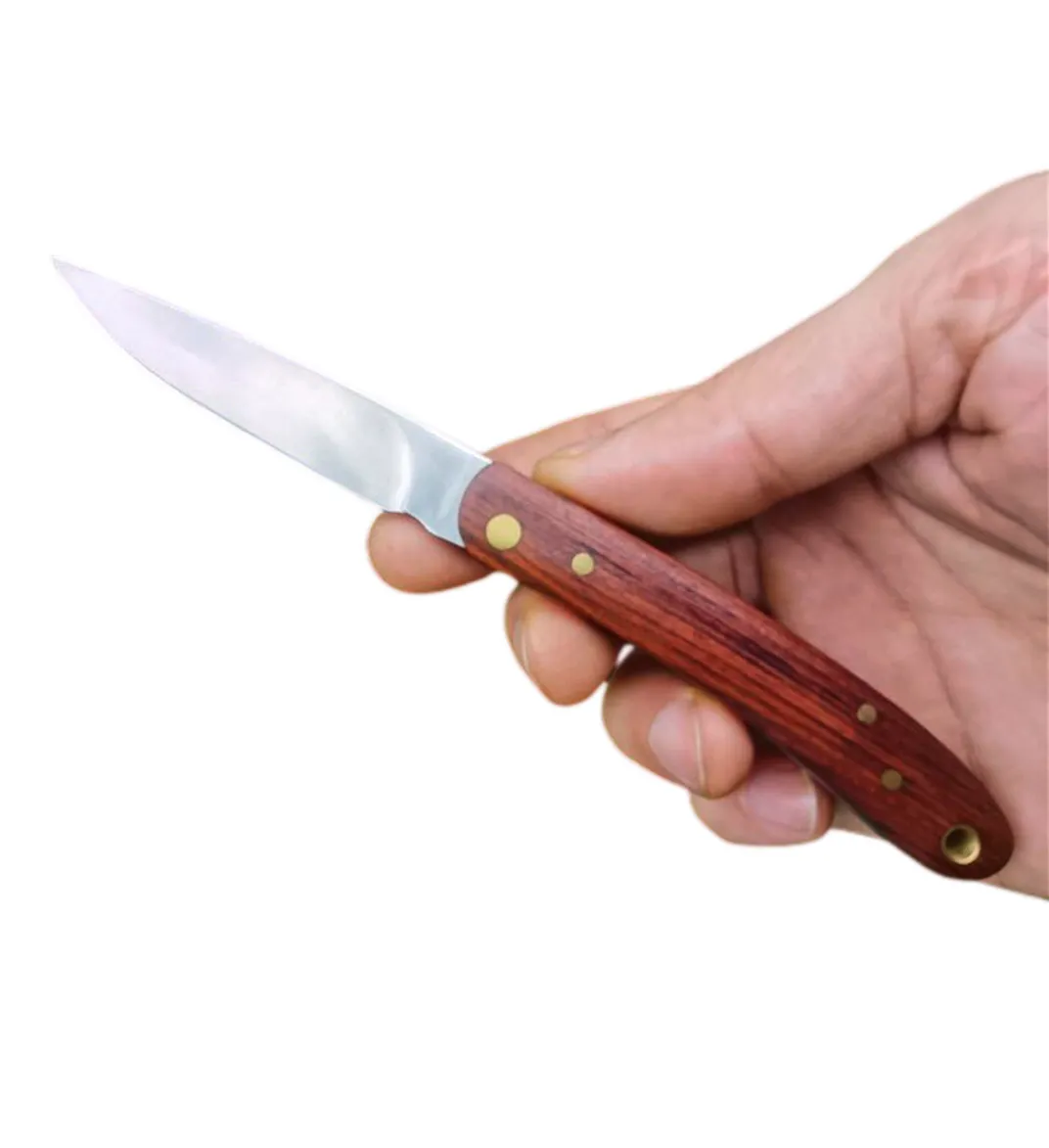 Top Qualität H2373 Klappklinge Obstmesser 420C Satin Klinge Holzgriff Outdoor Camping Wandern EDC Taschenordner Messer