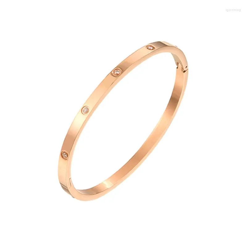 Bangle Rose Golden Round Single Vintage Bangles For Women Titanium Steel Luxury Jewelry Ladies Armband Gifts