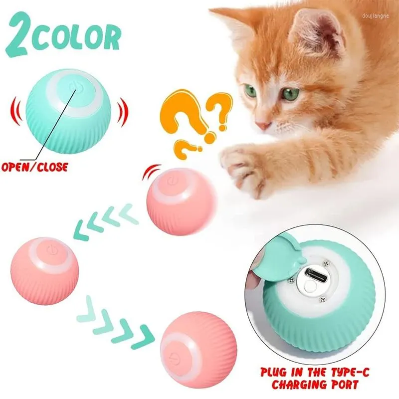 Kitten toys argos hotsell