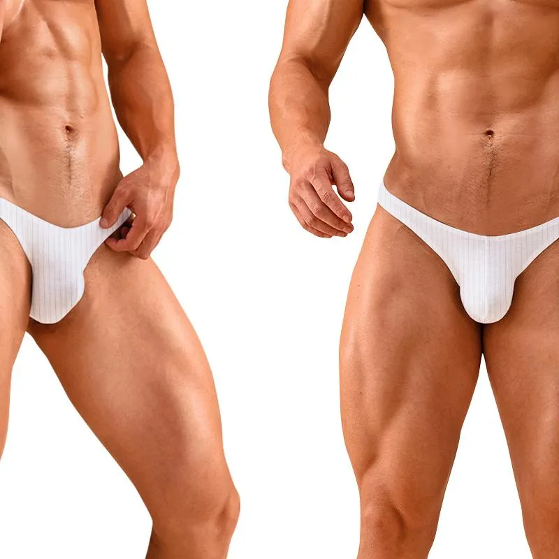 Sous-vêtements Low Wasit sous-vêtements en coton hommes slips culottes sexy pour Gay confortable Bikini bref séchage rapide Cueca hommes LingerieUnderpants