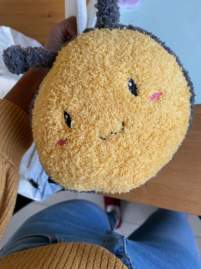 30cm Kawaii Peluş Hayvanlar Arı Oyuncaklar Süper Yumuşak Dolgulu Böcek Yastığı Kanepe Yastık Çocuklar İçin Doğum Günü Hediyesi La546