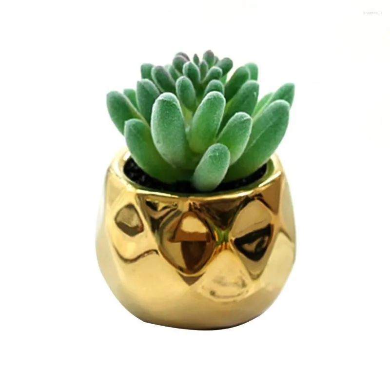 Decoratieve bloemen kunstmatige vetplanten mini plant gouden keramische potten schattige grote sappige planten