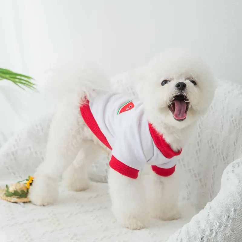 Abbigliamento per cani Abbigliamento Frutta T-shirt Summer Cat Teddy Spring And Thin Pet Bichon Small Puppies