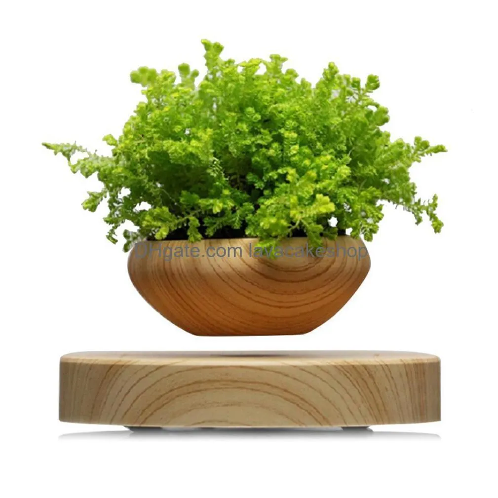 Levitating Potted Plant For Home And Office Decor Air Bonsai