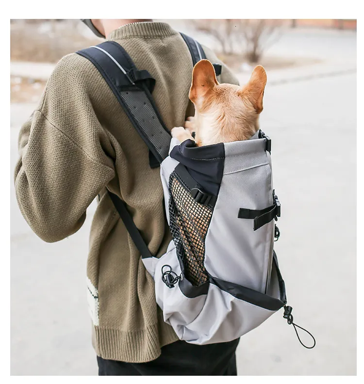 French Bulldog School Backpack For Teens – 11.5x8x16 Inch Polyester Bag For School, Travel & Gym, Adjustable Padded Straps - View #6