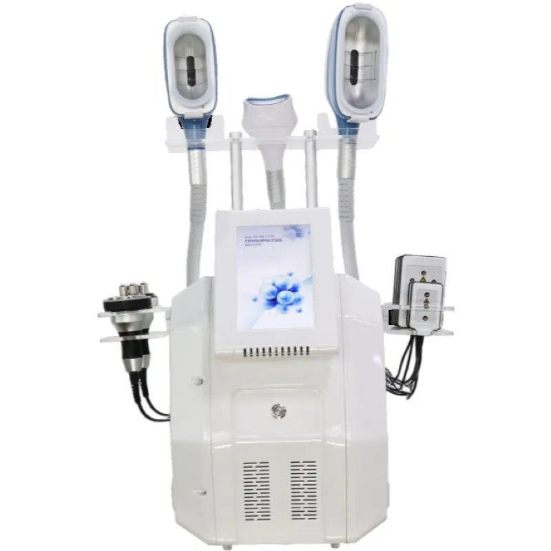 미용 품목 최고의 지방 동결 360 Cryo Cellulite 감소 안면 Cryolipolisis Slimming Machine