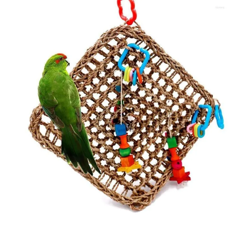 Andere vogels leveren papegaai klimnetnet hangmat swing pet's favoriete bijt speelgoed kleurrijke veilig smakeloze natuurlijk strompet