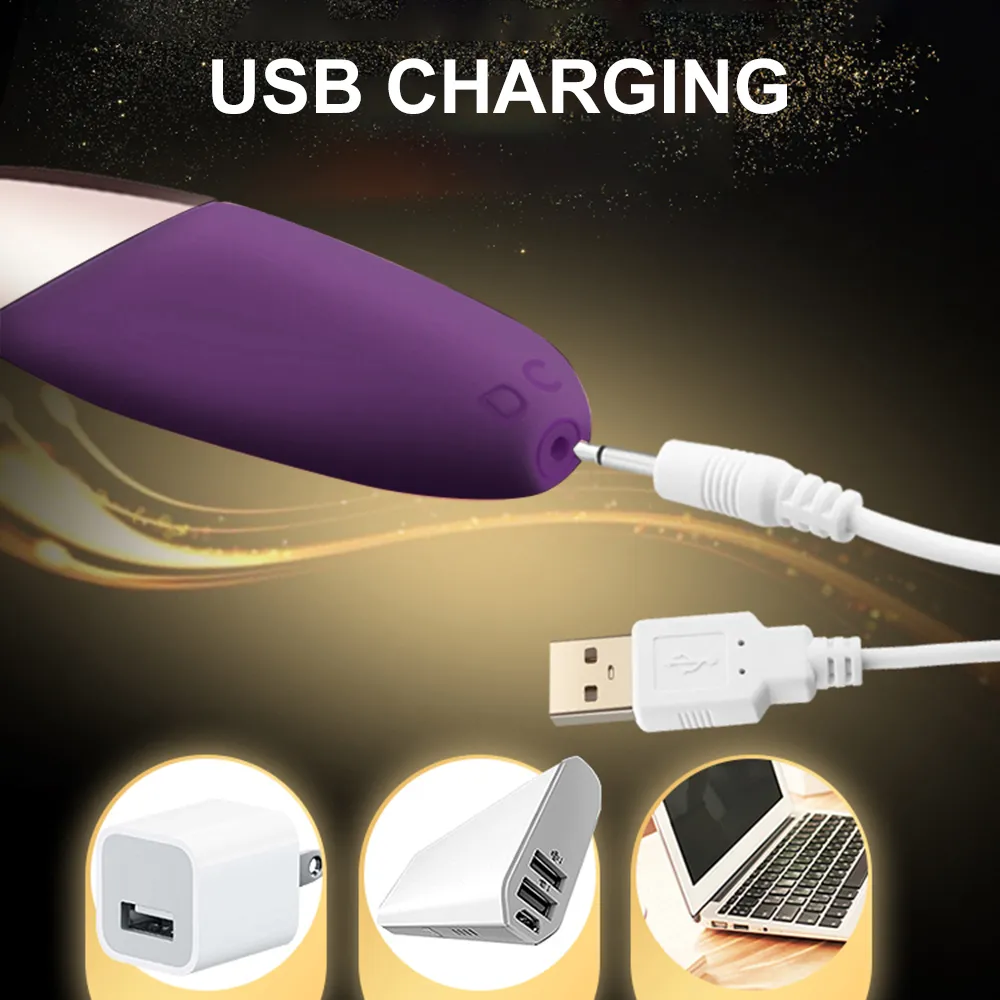 One vibrator charger