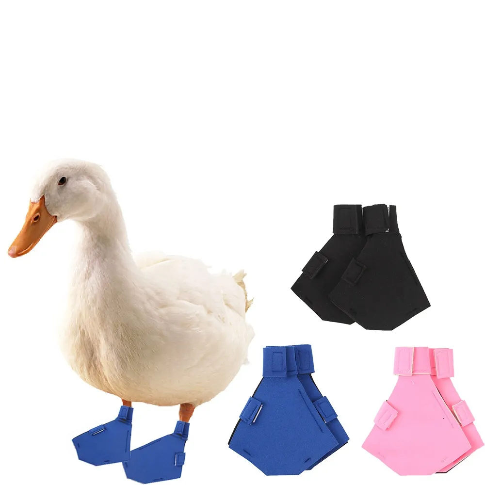 Fournitures pour petits animaux 2 pièces chaussures de canard oie Flipper Pet Cole patte bottes Protection des pieds antidérapant 230307