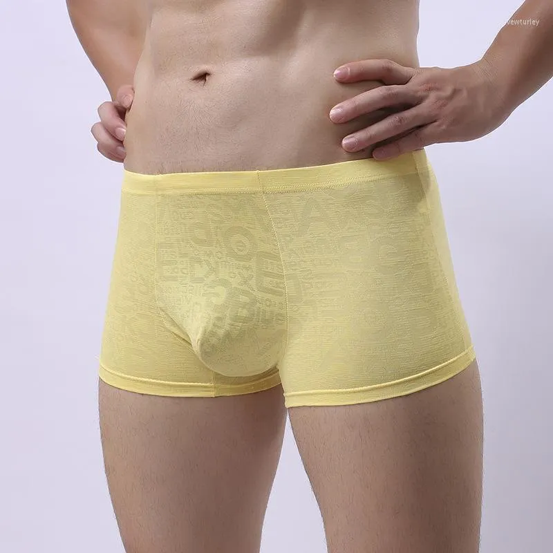 Underpants Sexy Men Underwear Transparent Boxer Shorts Cueca Lace Panties For Man Solid Low Waist U Convex Pouch Plus Size M-XXL