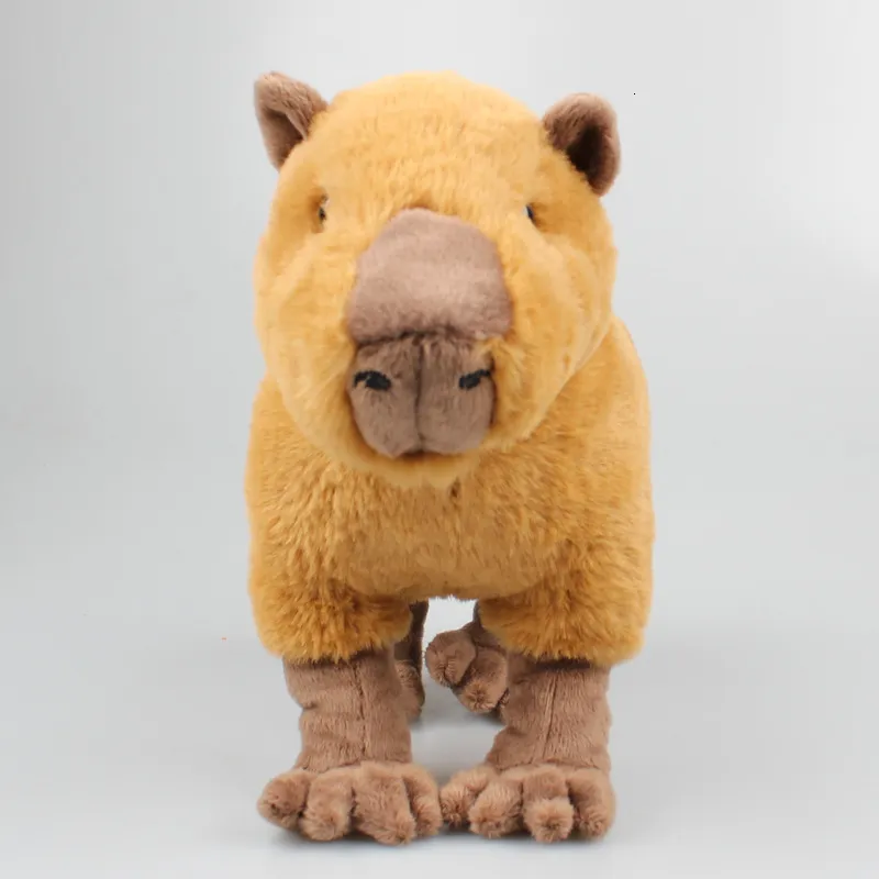 Peluche Capybara pour enfants, poupées peluches, poupées douces