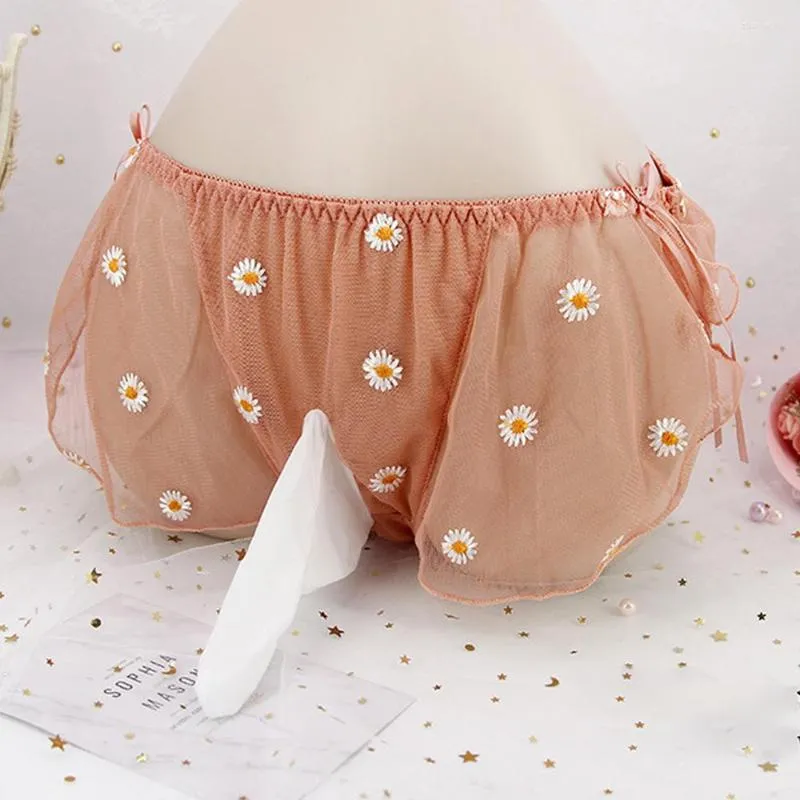 الرجال الداخليين الرجال النساء الداخلية شبكة شفافة مثلي الجنس حقيبة G-String Burs Bow Bow Cute Breadable JJ Sleeve Erotic Lingerie