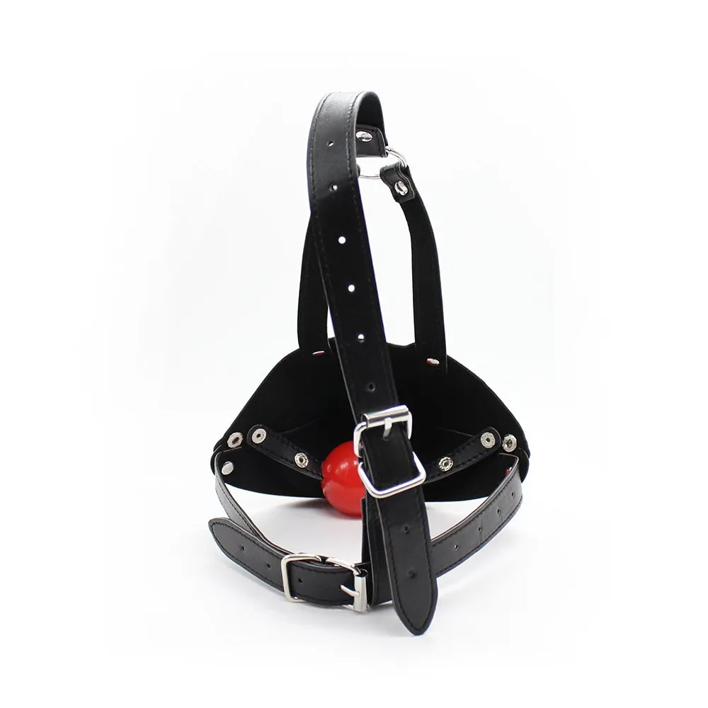 KIT BONDAGE SEXE BDSM SM BALL GAG FOUET MASQUE SEX WHIP MASK RED KIT BONDAGE SEXE BDSM SM BALL GAG FOUET MASQUE SEX WHIP MASK RED