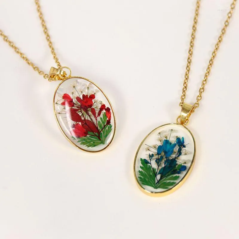 Chains Creative Pressed Flower Necklace Gifts Unique Dried Real Pendant Necklaces Women Long Sweater Chain Jewelry Wholesale