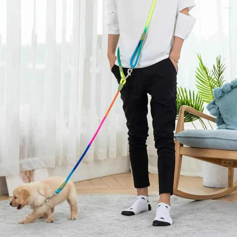 Hundhalsar Reflekterande nylon Leashes Pet Dogs Chain Traction Reple leder gratis händer för liten stor droppförsäljning